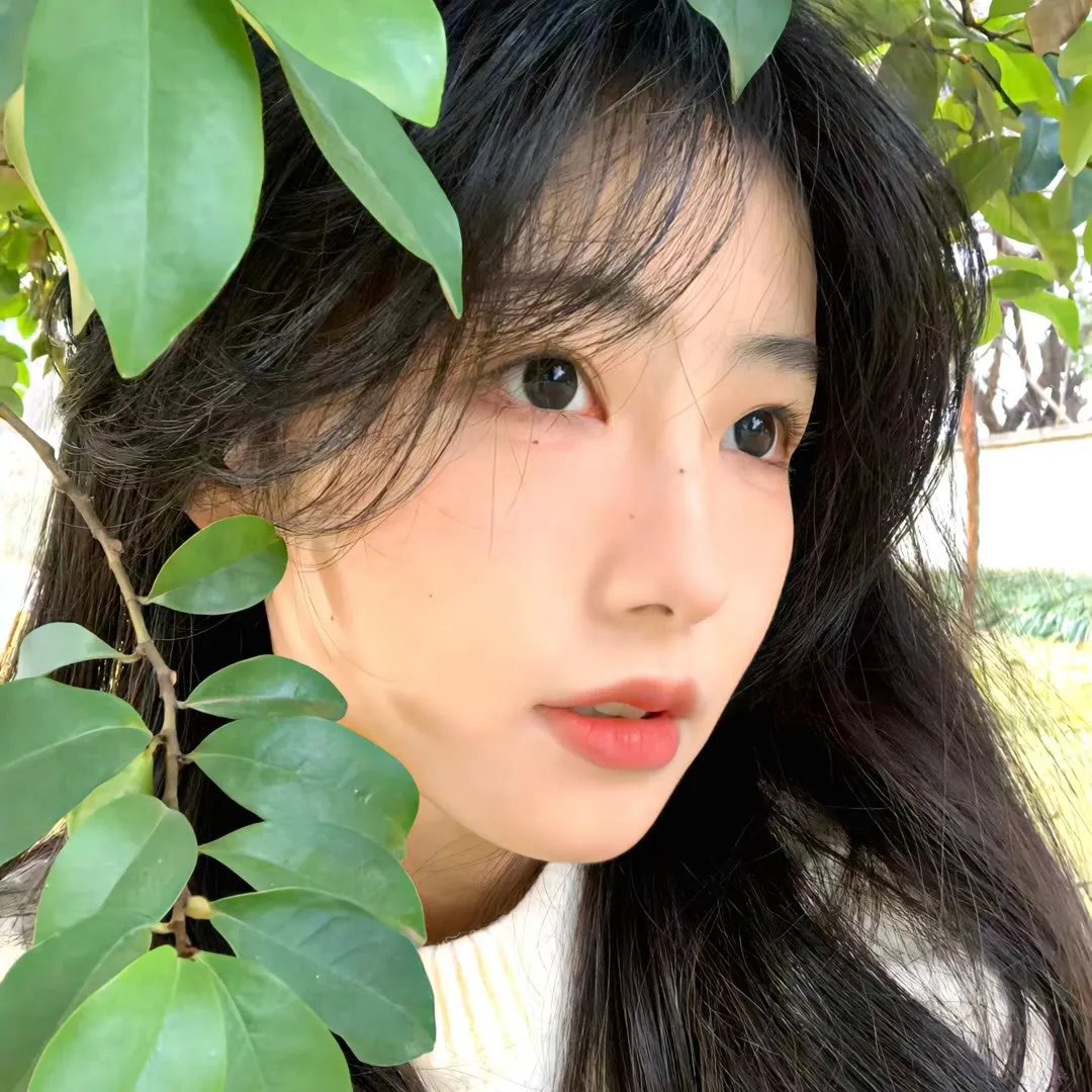 狐门秘事第一季